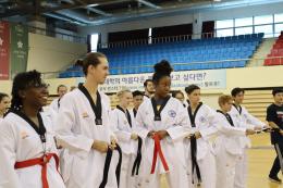 Academic Program (Taekwondo)
